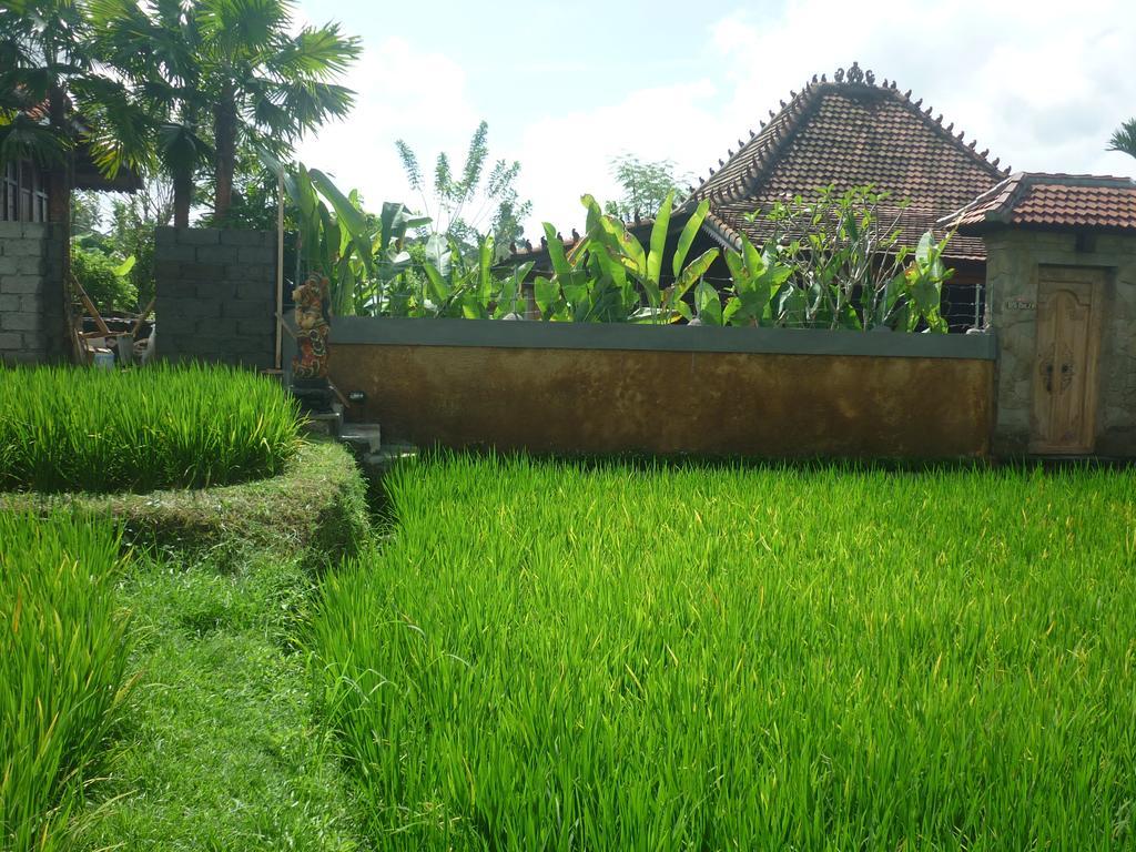 Villa Nini Ubud Zimmer foto