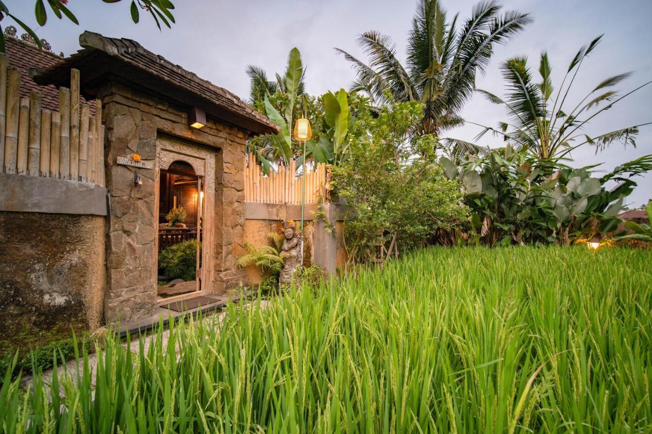 Villa Nini Ubud Exterior foto